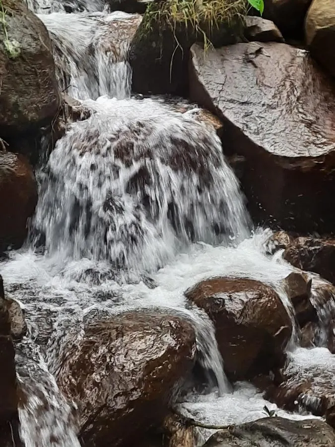 Kurinjiyil Farm Stay Munnar