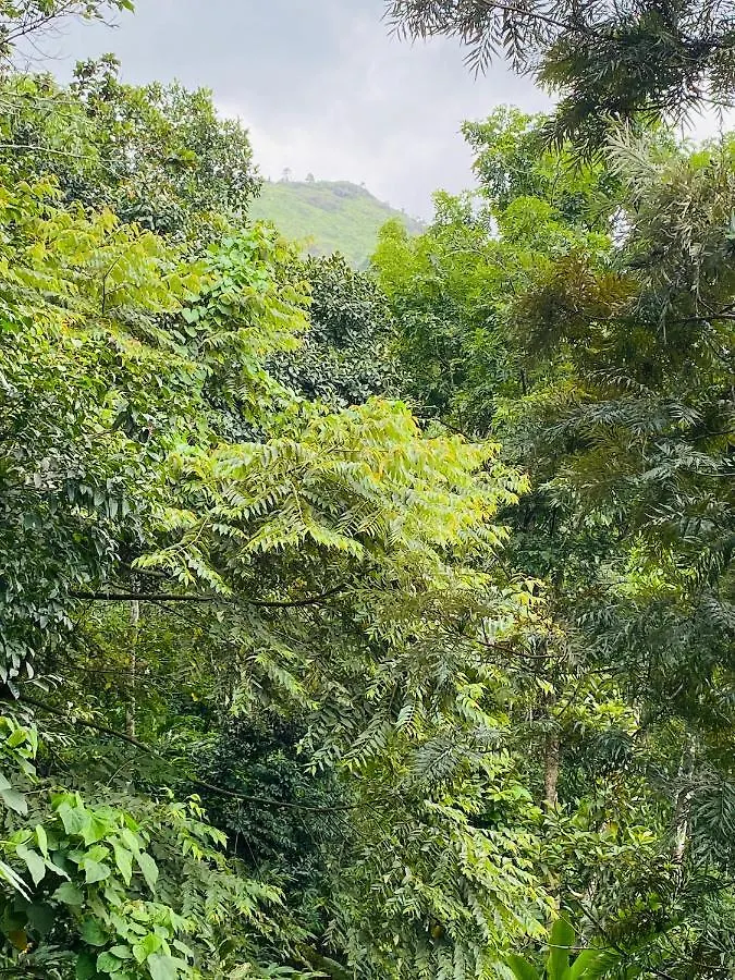 Kurinjiyil Farm Stay Munnar